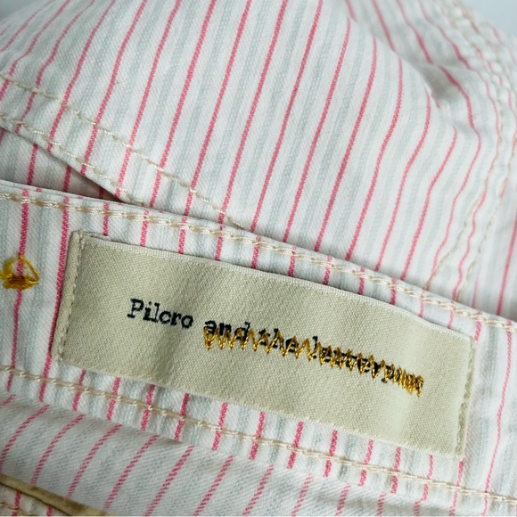 Pilcro and the Letterpress Blushed Striped Cropped Pants - Picture 7 of 8